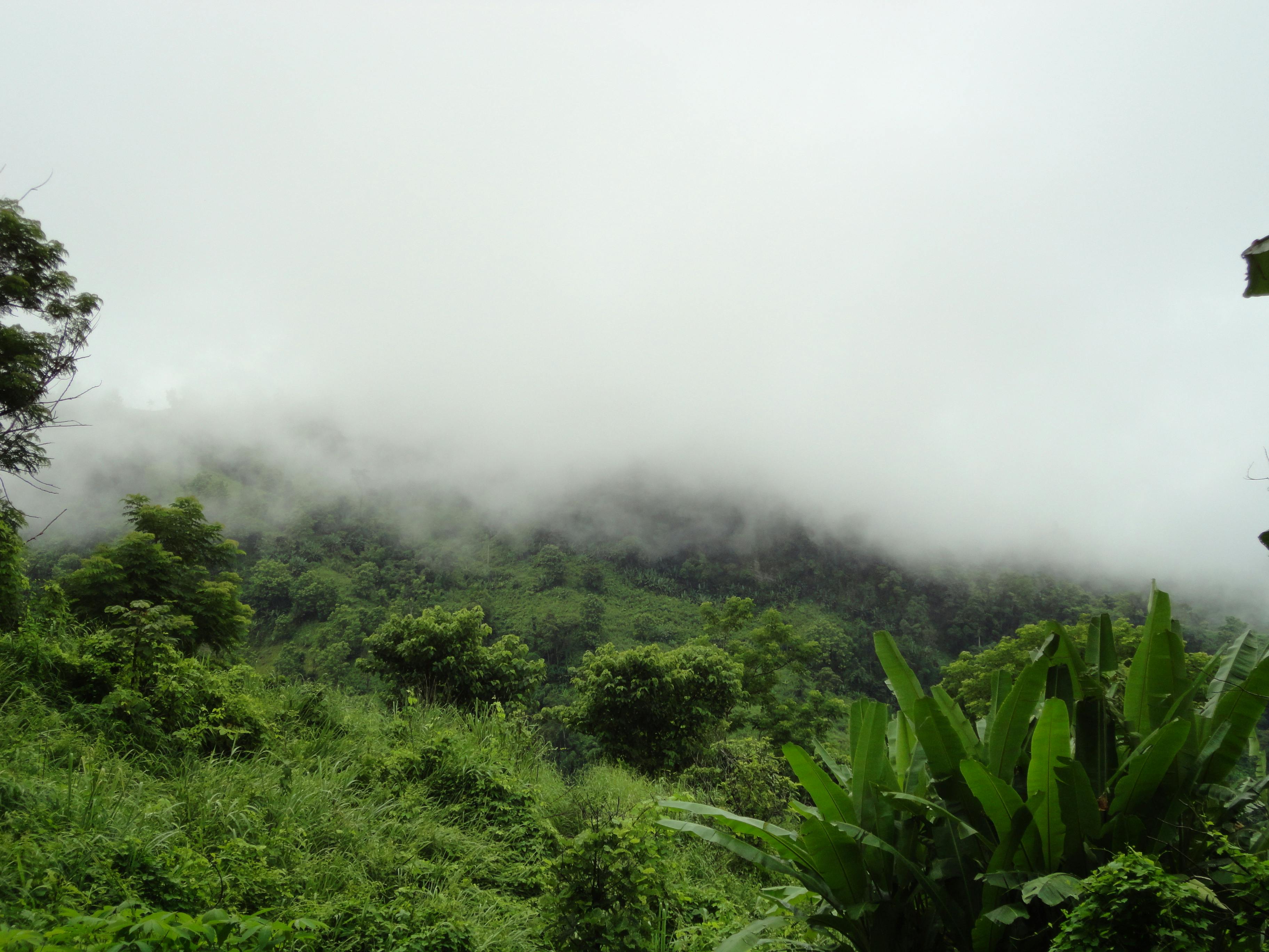 Free stock photo of Bandarban, bangladesh