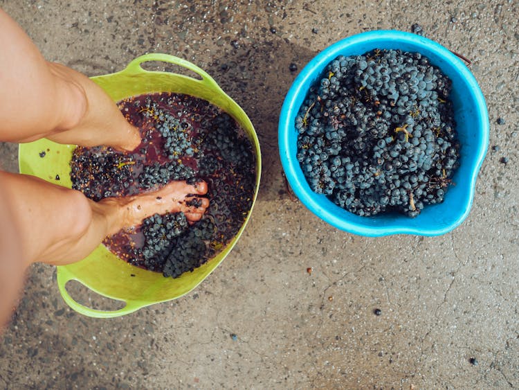 A Person Stomping On The Grapes In The Basket