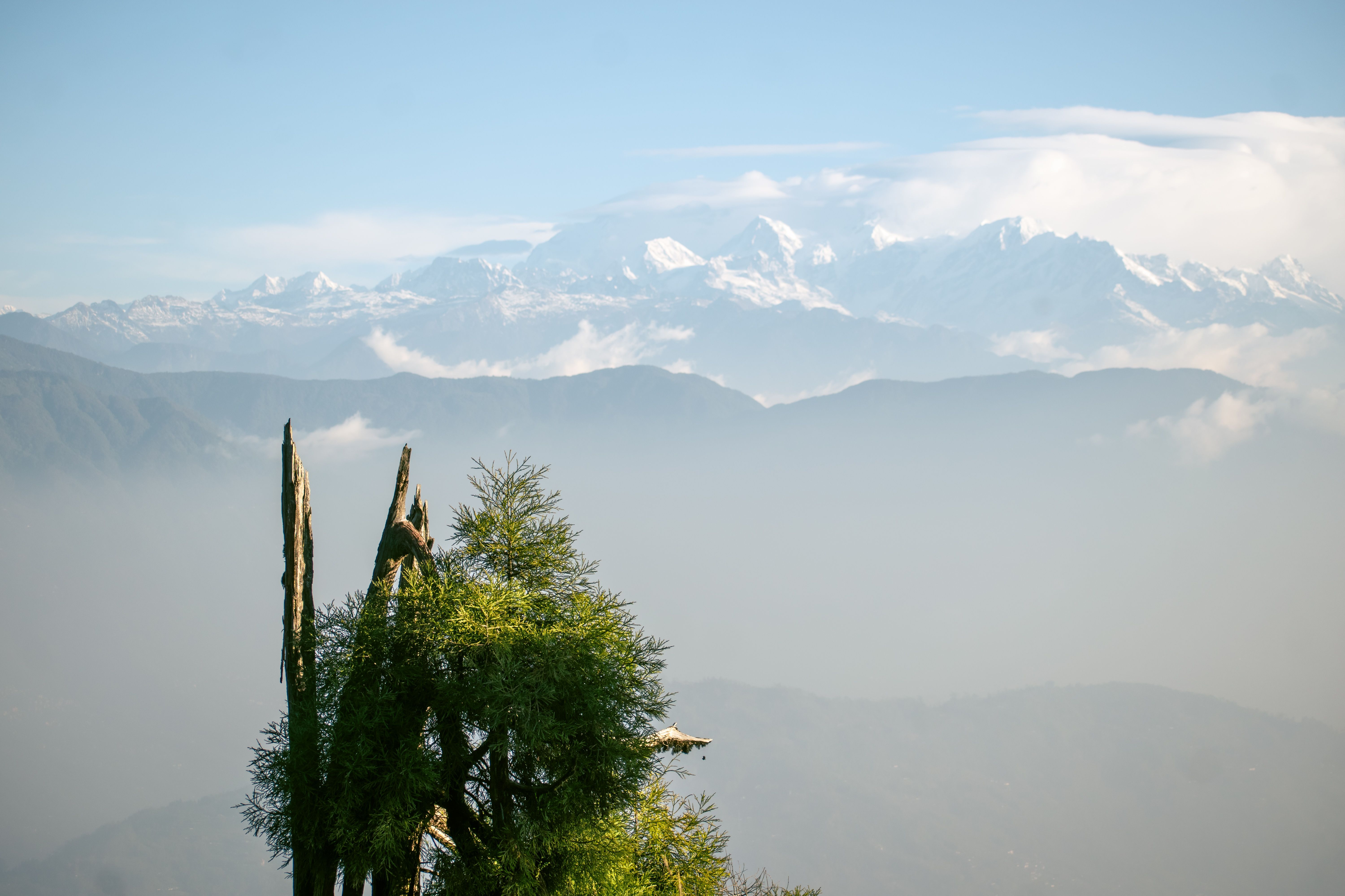 Exploring the Majestic Peaks of West Bengal: A Trekker's Guide - nature coverage from Kolkata, West Bengal, India