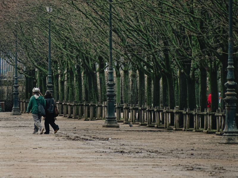 winding path through a park leading toward a lunch spot