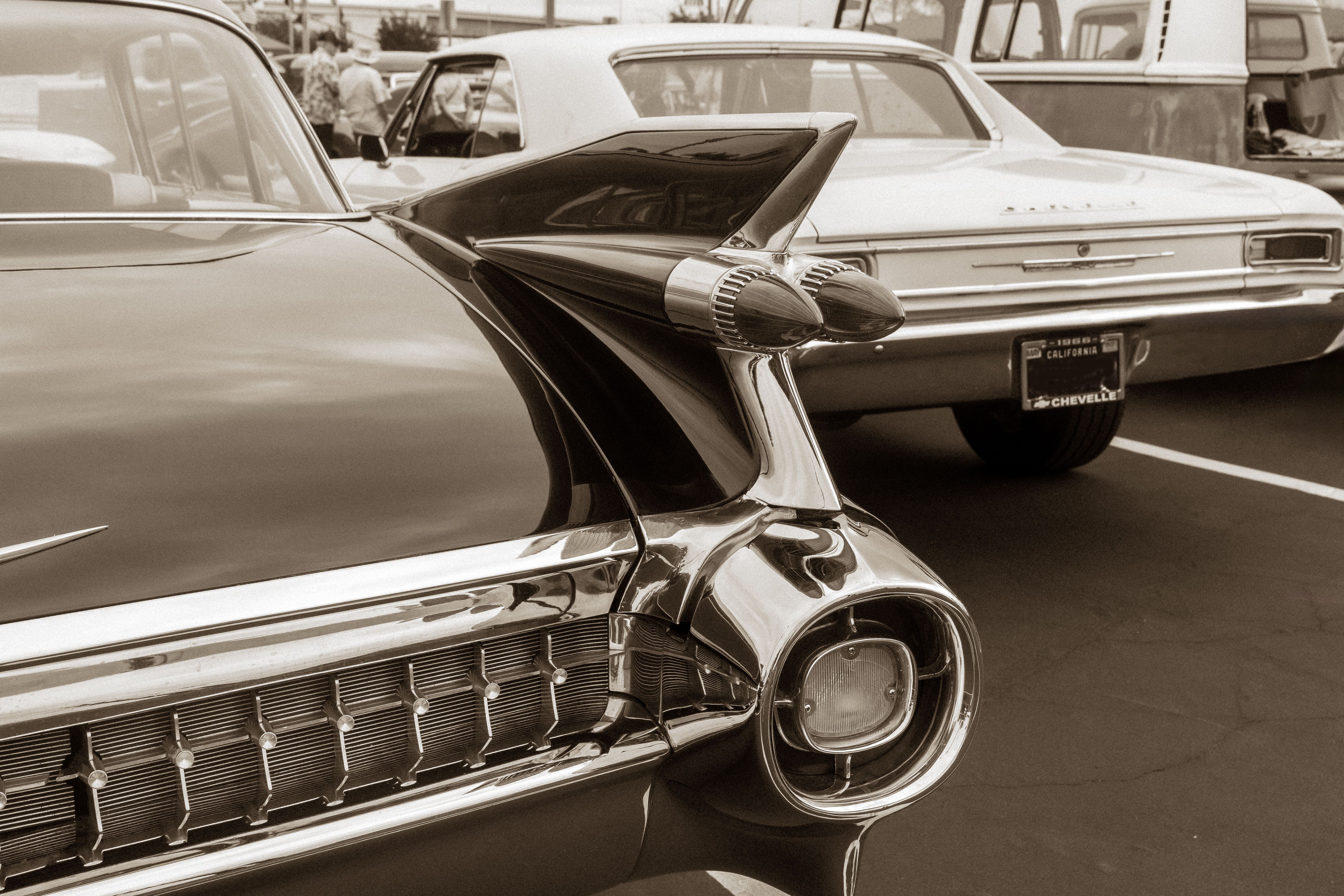 What A Vehicle History Report Actually Shows