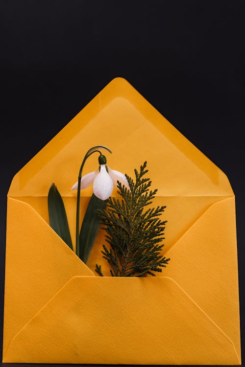 Paper envelope with blossom and twig