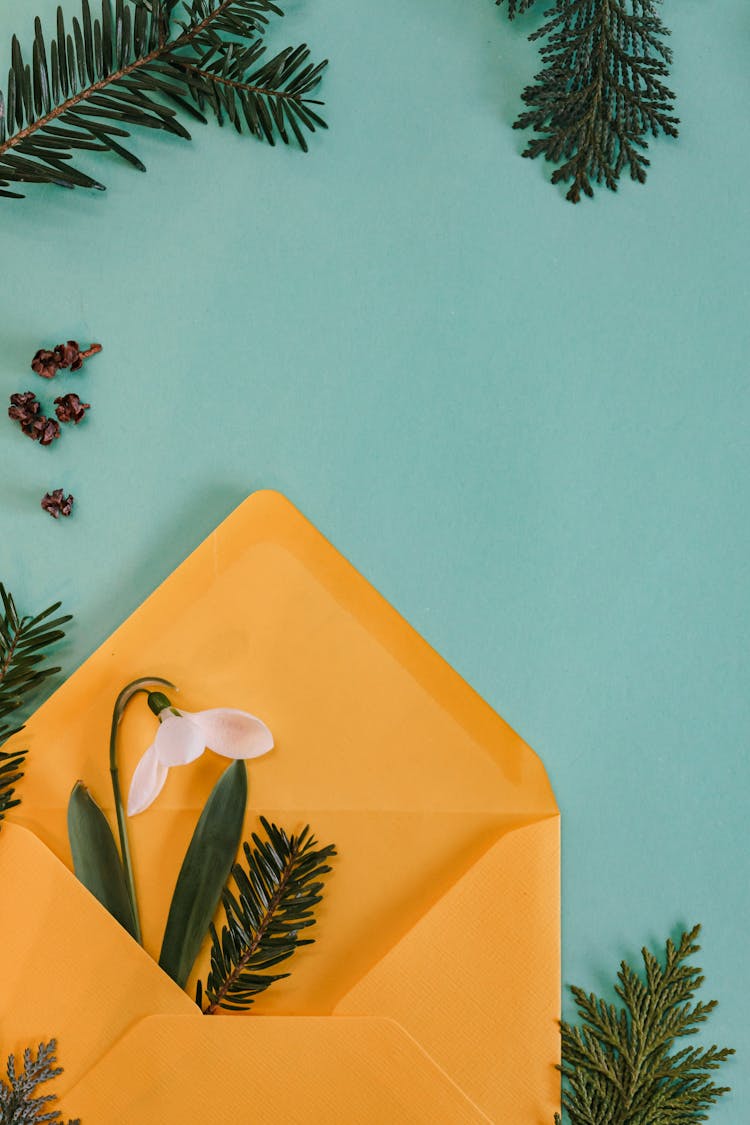 Craft Envelope With  Flower And Twigs