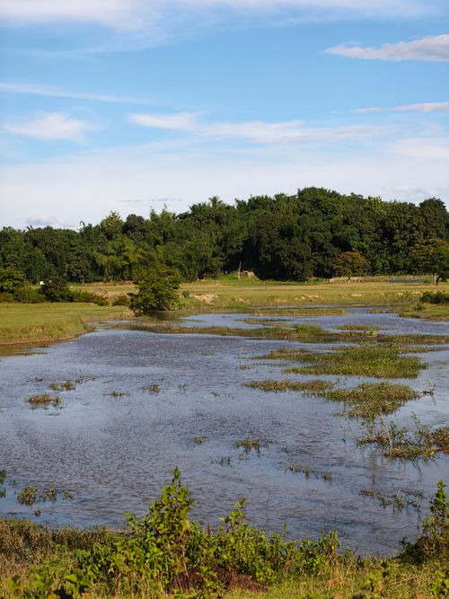 Free Calm flooded area with lush greenery and clear sky in Silchar, India. Perfect for nature enthusiasts. Stock Photo