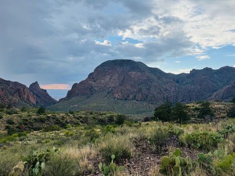 Stunning landscape of Big Bend National Park with mountains and vegetation at sunset.