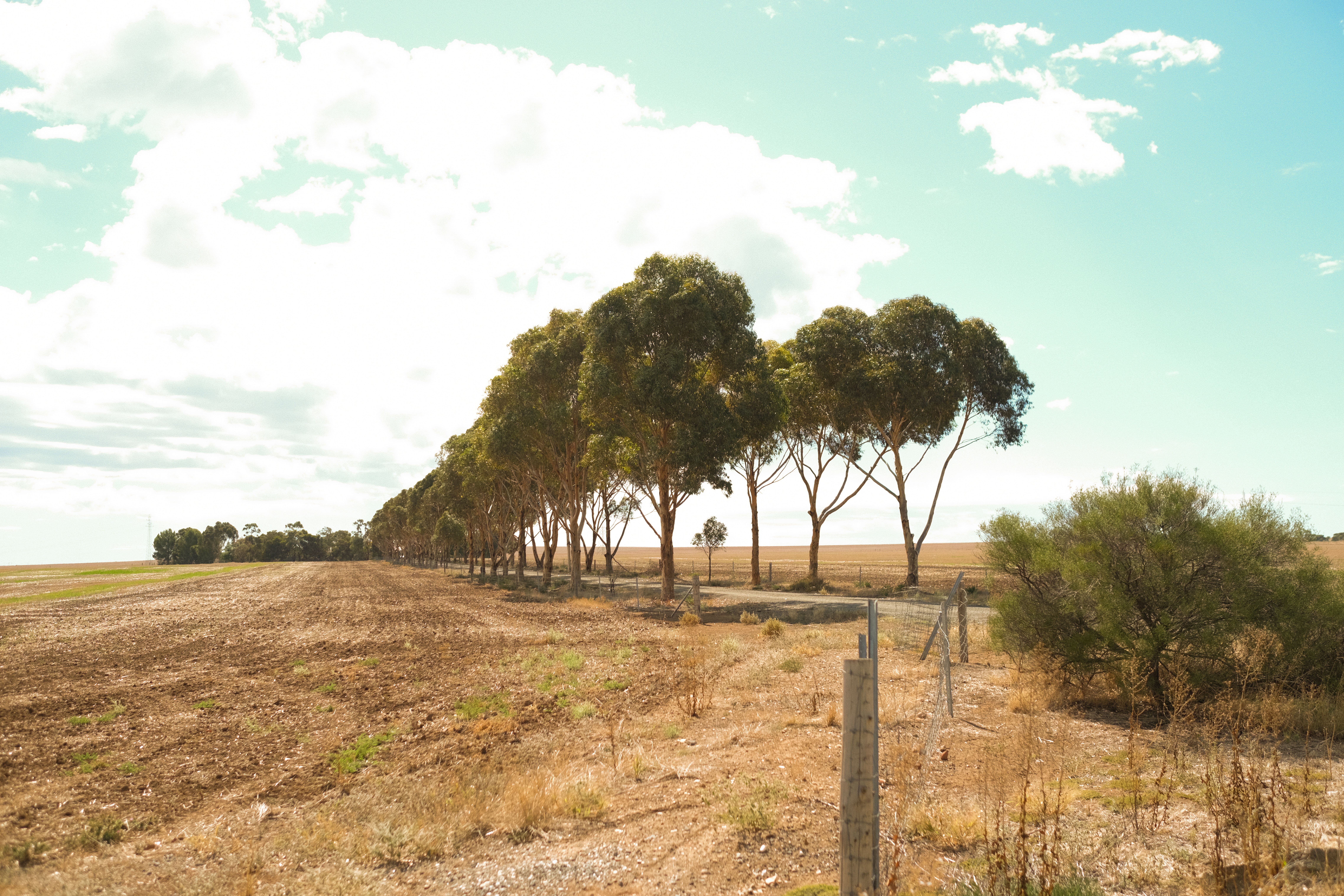 Landmarks in Barossa Valley