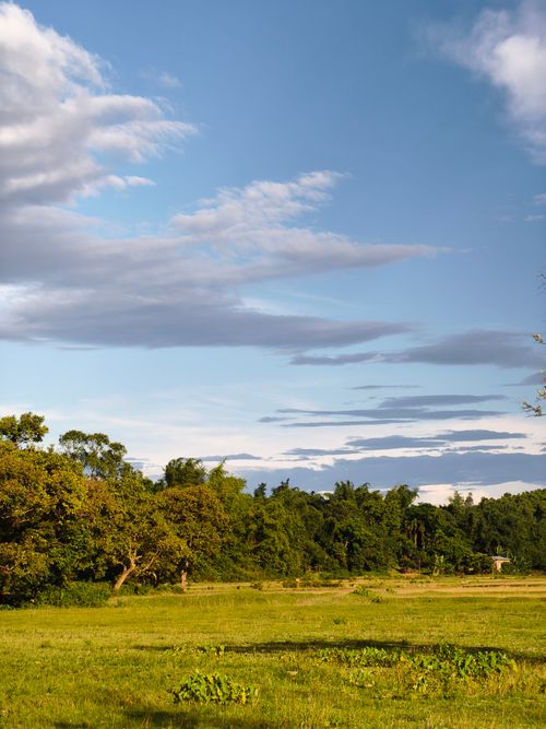 Free Beautiful landscape capturing lush greenery under a clear blue sky in Silchar, Assam, India. Stock Photo