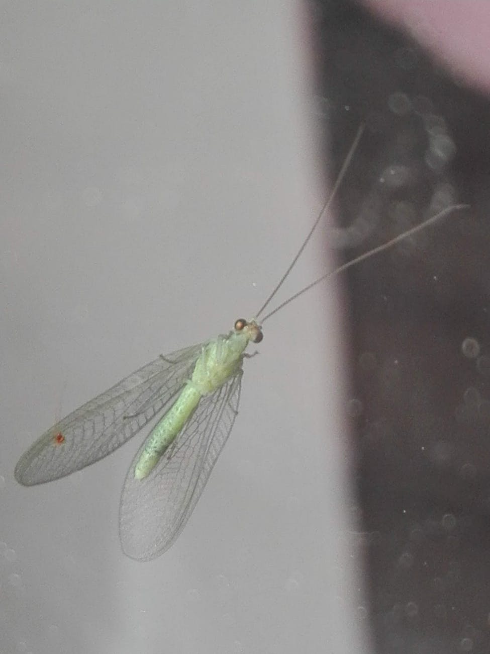 Property Management in Eagle Idaho