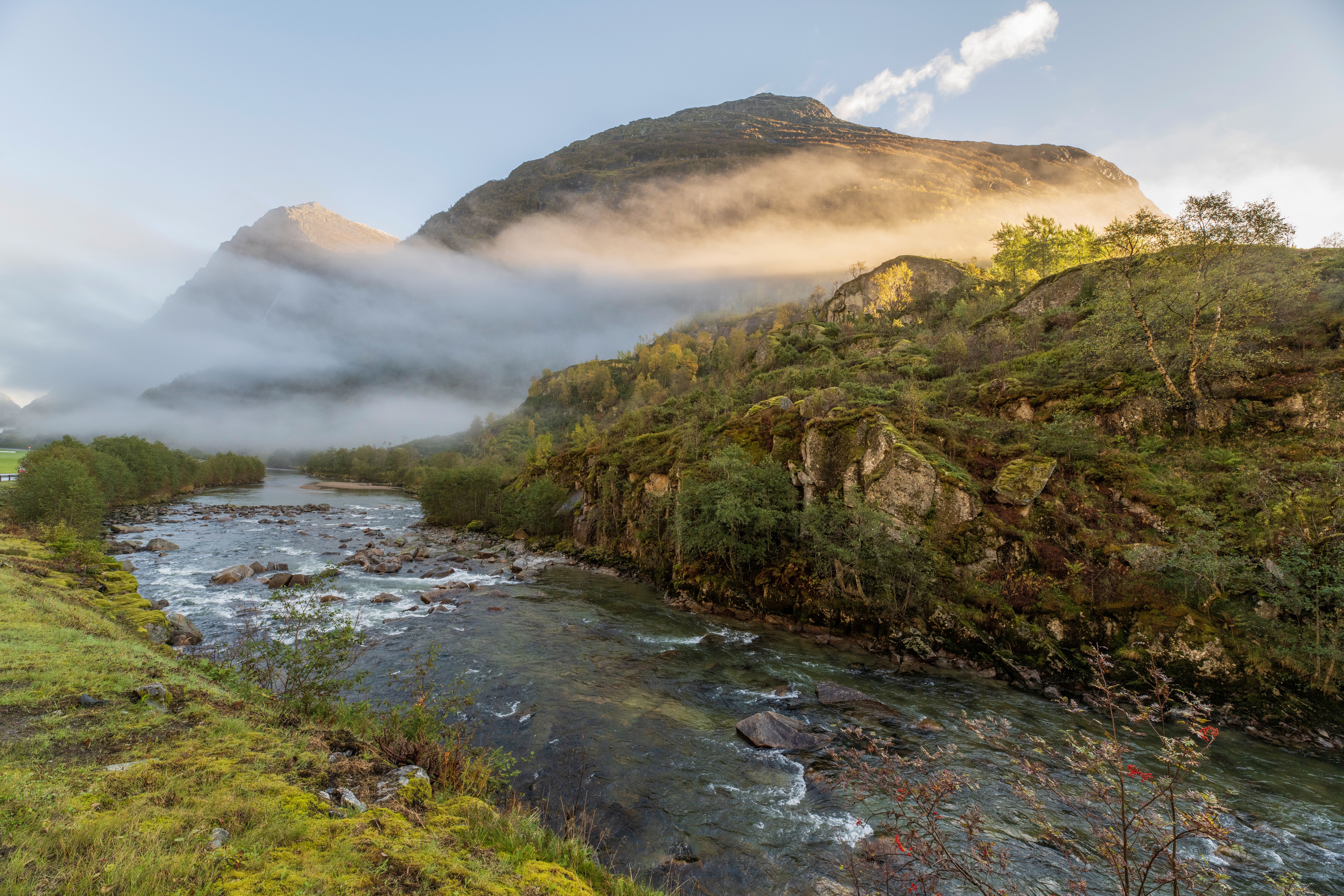 How Norwegian Microcruises Are Rethinking Green Travel — Photo by Evelin Magnus on Pexels