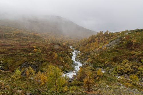 Free Beautiful misty autumn scene in the mountains of Norway with a flowing river. Stock Photo