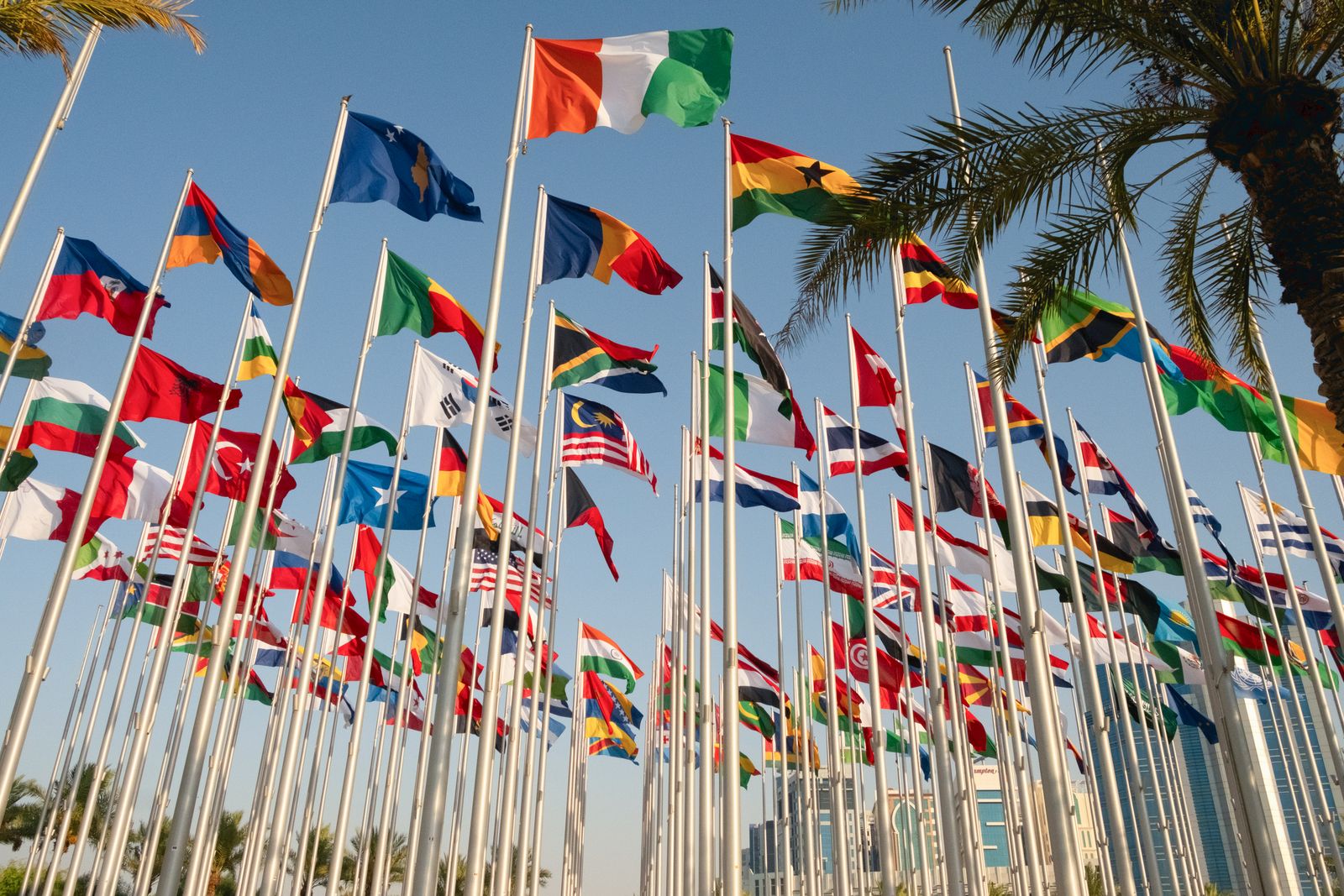 Colorful Array of International Flags · Free Stock Photo