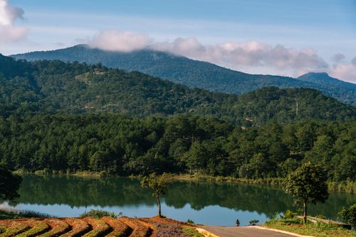 Free Peaceful view of Xuân Hương Lake surrounded by lush greenery in Đà Lạt, Vietnam. Stock Photo