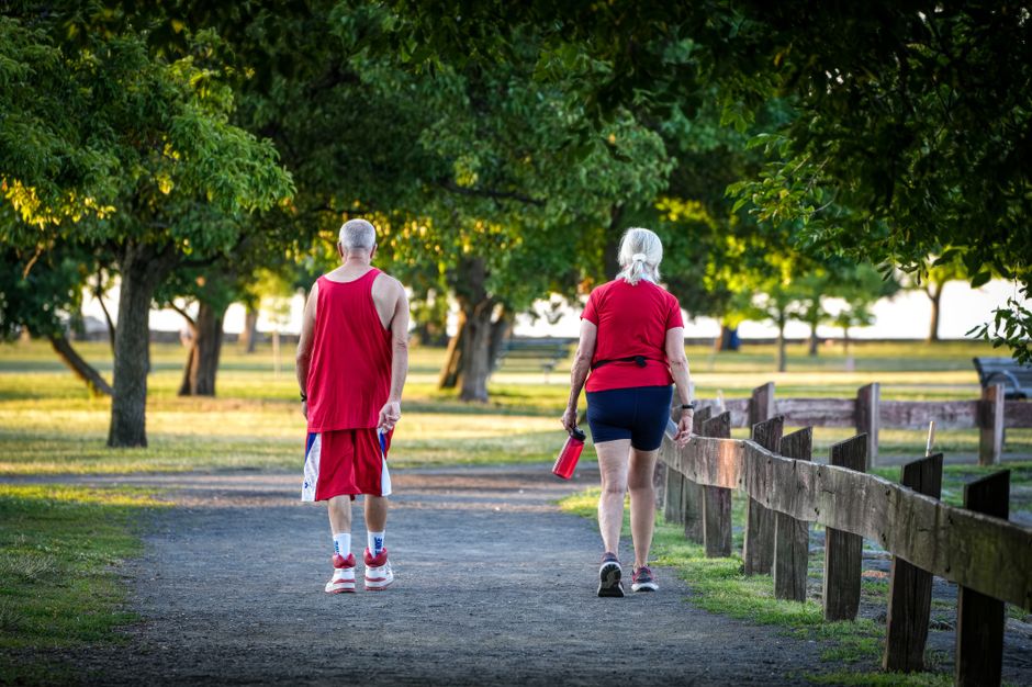 二人の高齢者が緑豊かな公園の小道を歩き、晴れた夏の日を楽しんでいます。