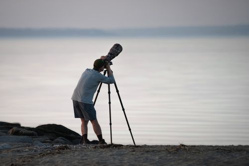 Free A photographer using a telephoto lens, capturing nature scenes at the shoreline during daytime. Stock Photo