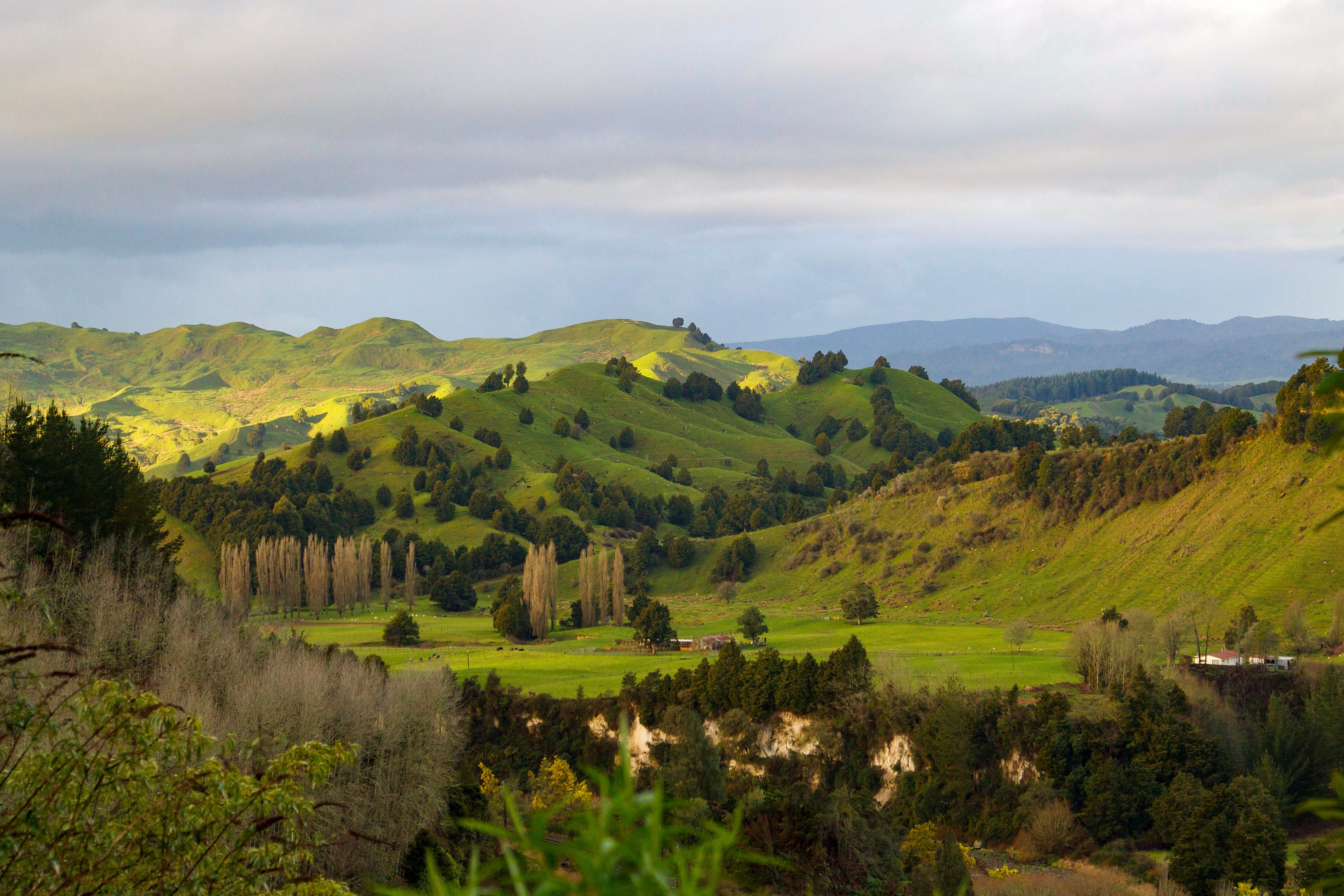 Waitomo, Waikato
