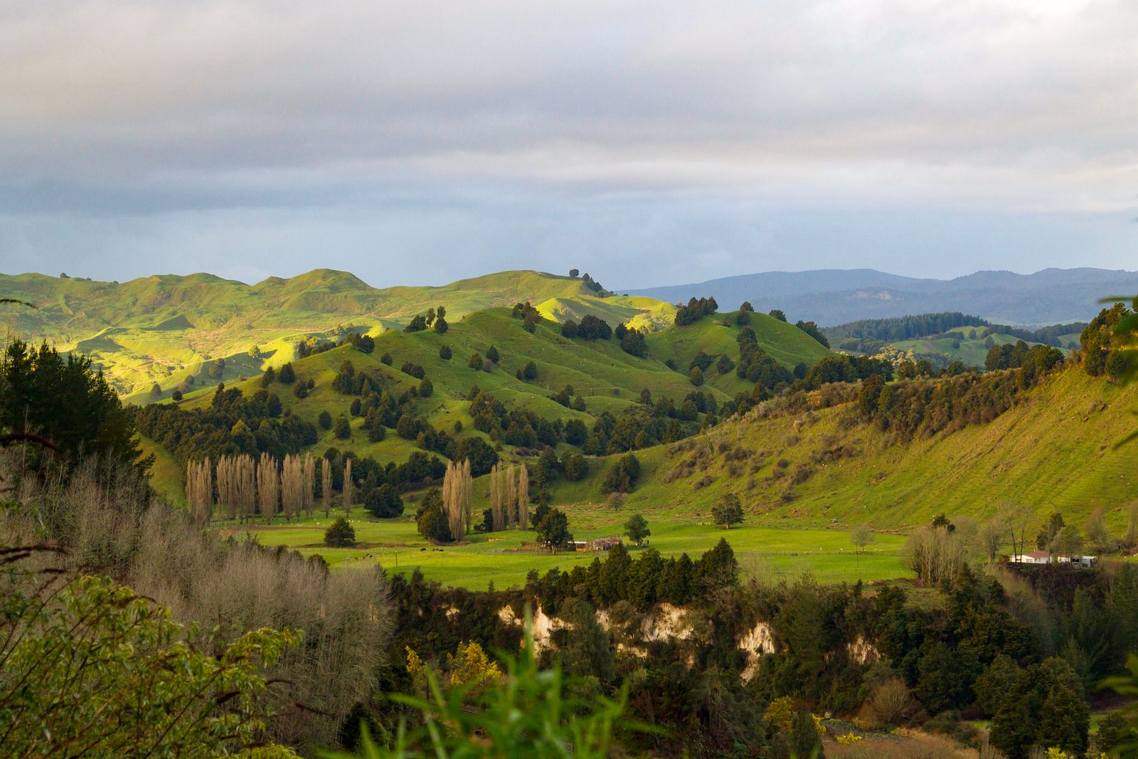 Whanganui