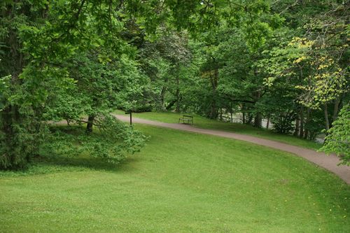 Free A serene park pathway surrounded by vibrant green trees and grass, offering a tranquil outdoor environment. Stock Photo