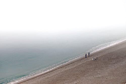 People Fishing on Beach