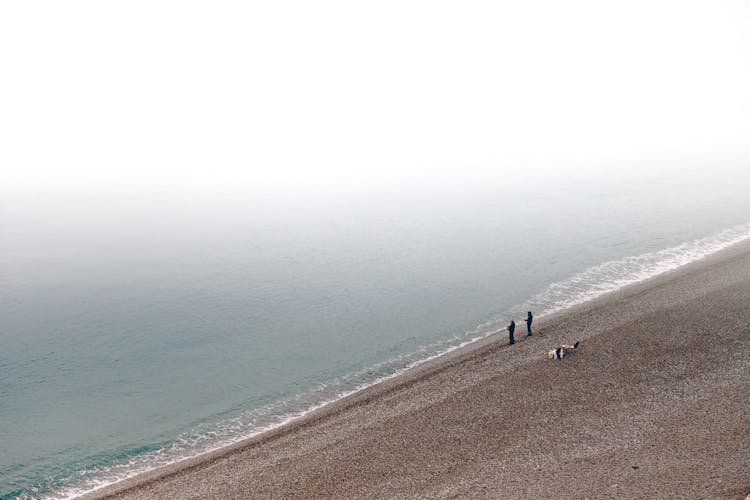 People Fishing On Beach