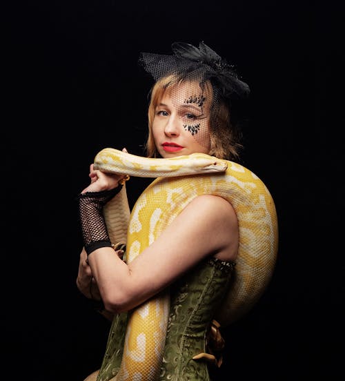 Side view of young lady in stylish hat with veil and mesh gloves holding yellow anaconda on shoulders while standing on black background  and looking at camera