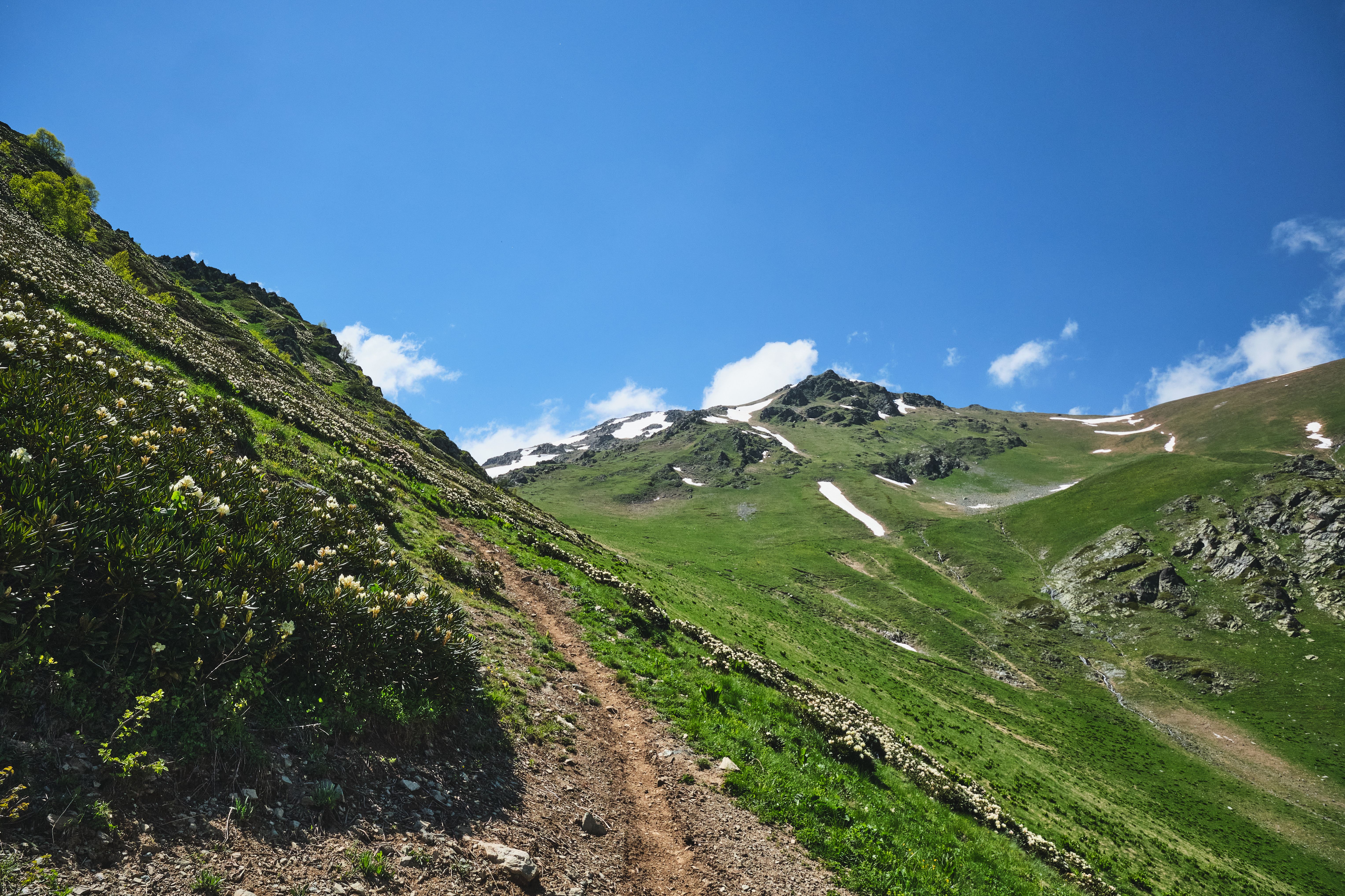 Piste verte, bleue, rouge ou noire : quel niveau faut-il ?