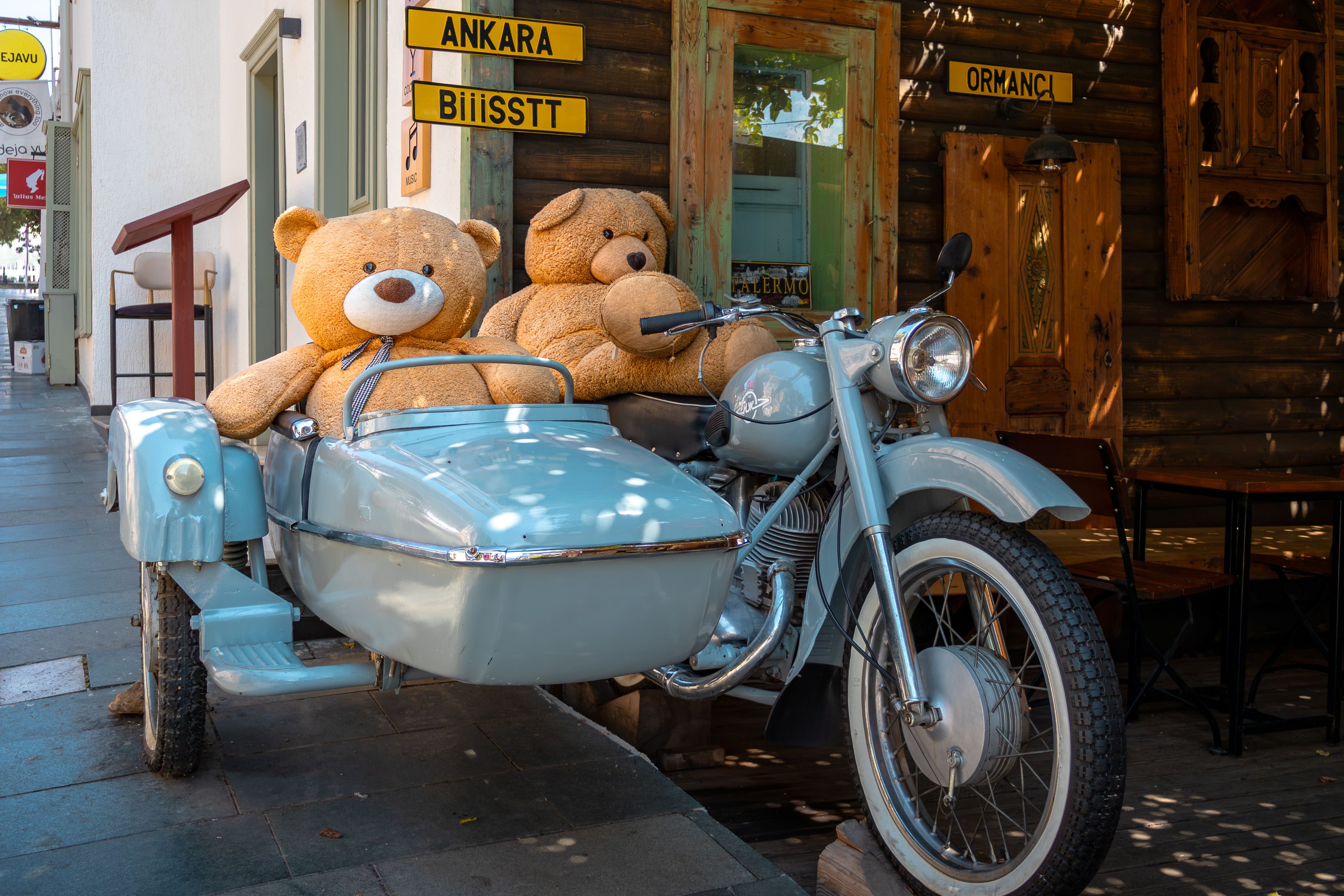 Teddy Bear on a Scooter Outdoors · Free Stock Photo