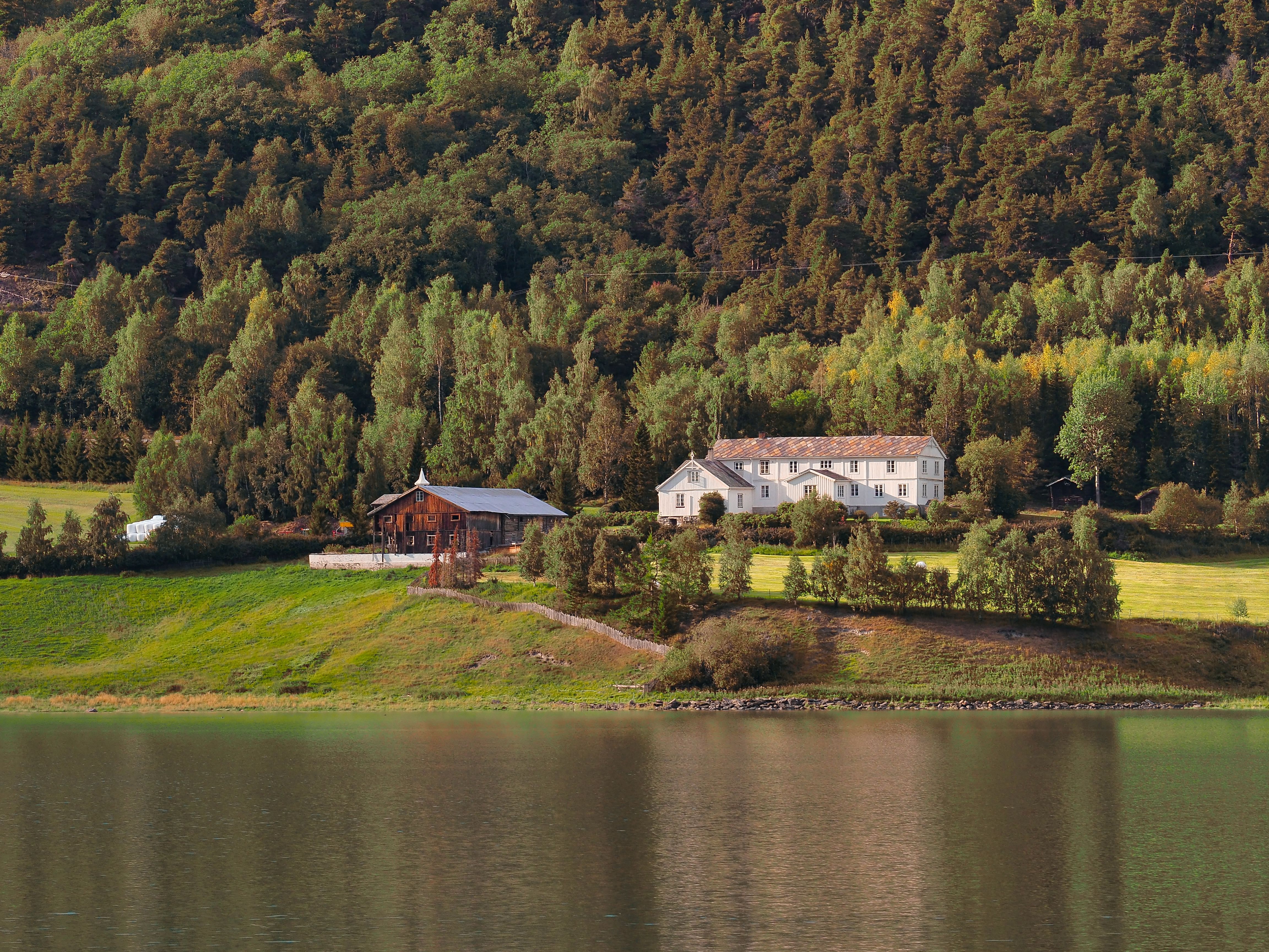 Naeroyfjord