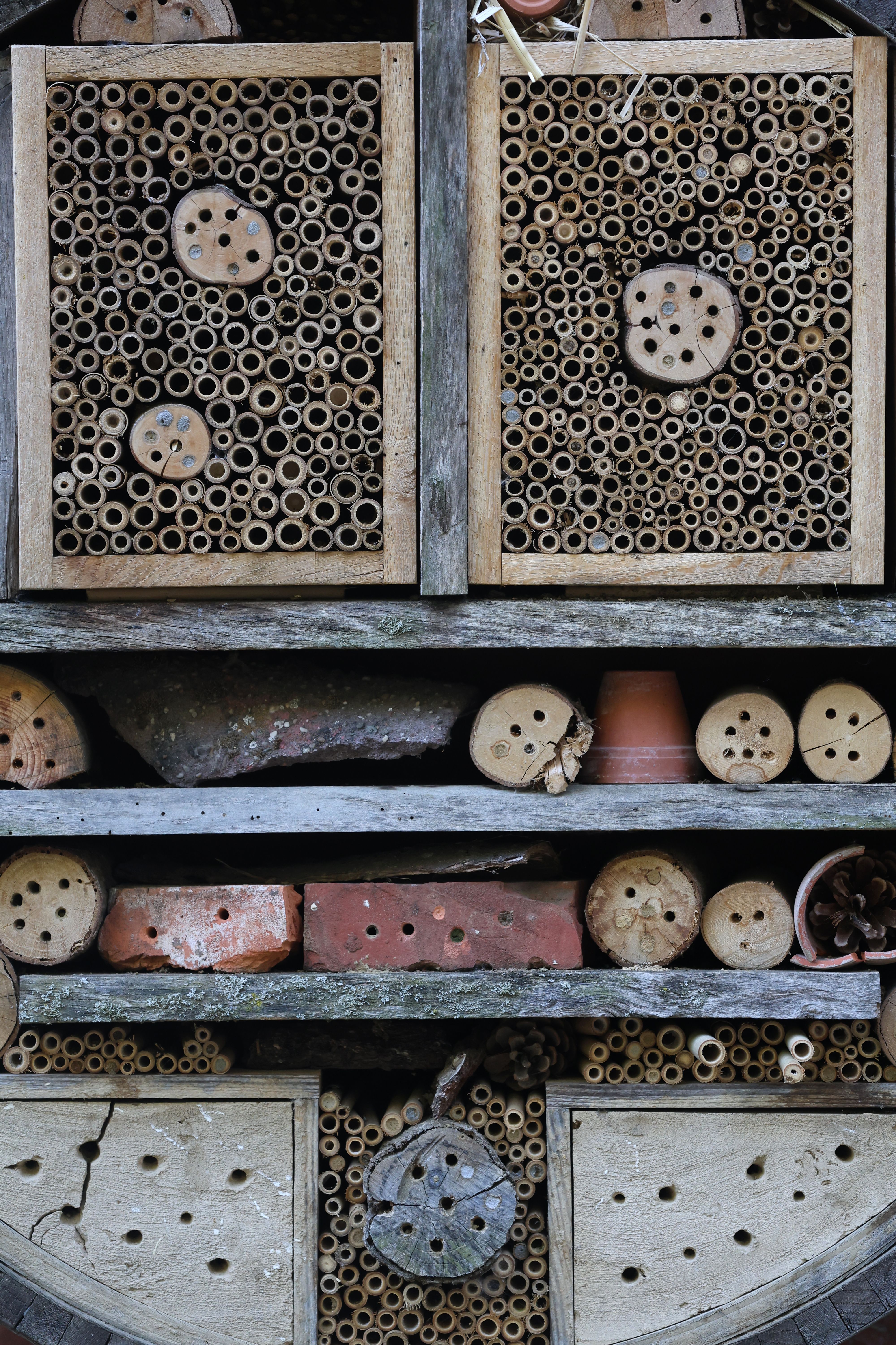 Bricolage jardin : construire un hôtel à insectes pour favoriser la biodiversité 