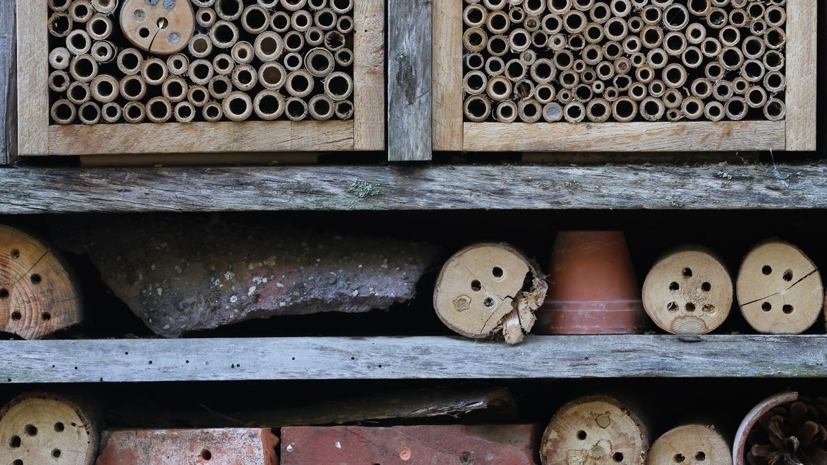 Bricolage jardin : construire un hôtel à insectes pour favoriser la biodiversité