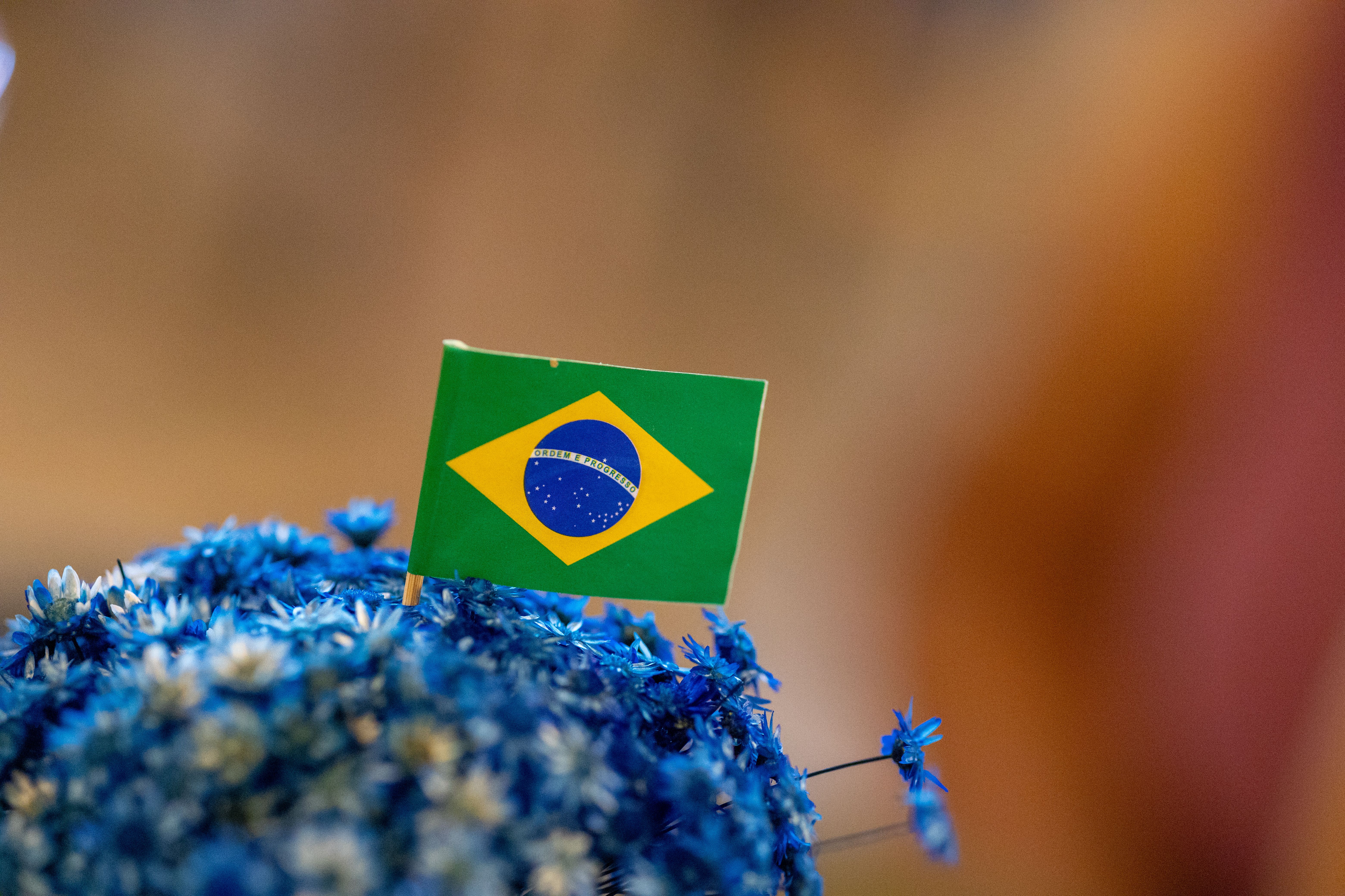 Além da IA: Oportunidades em ativos tangíveis e a busca por valor no mercado brasileiro