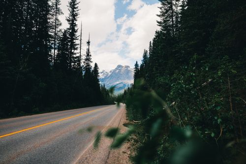 Free A picturesque road leading through dense forested mountains in Field, British Columbia. Stock Photo