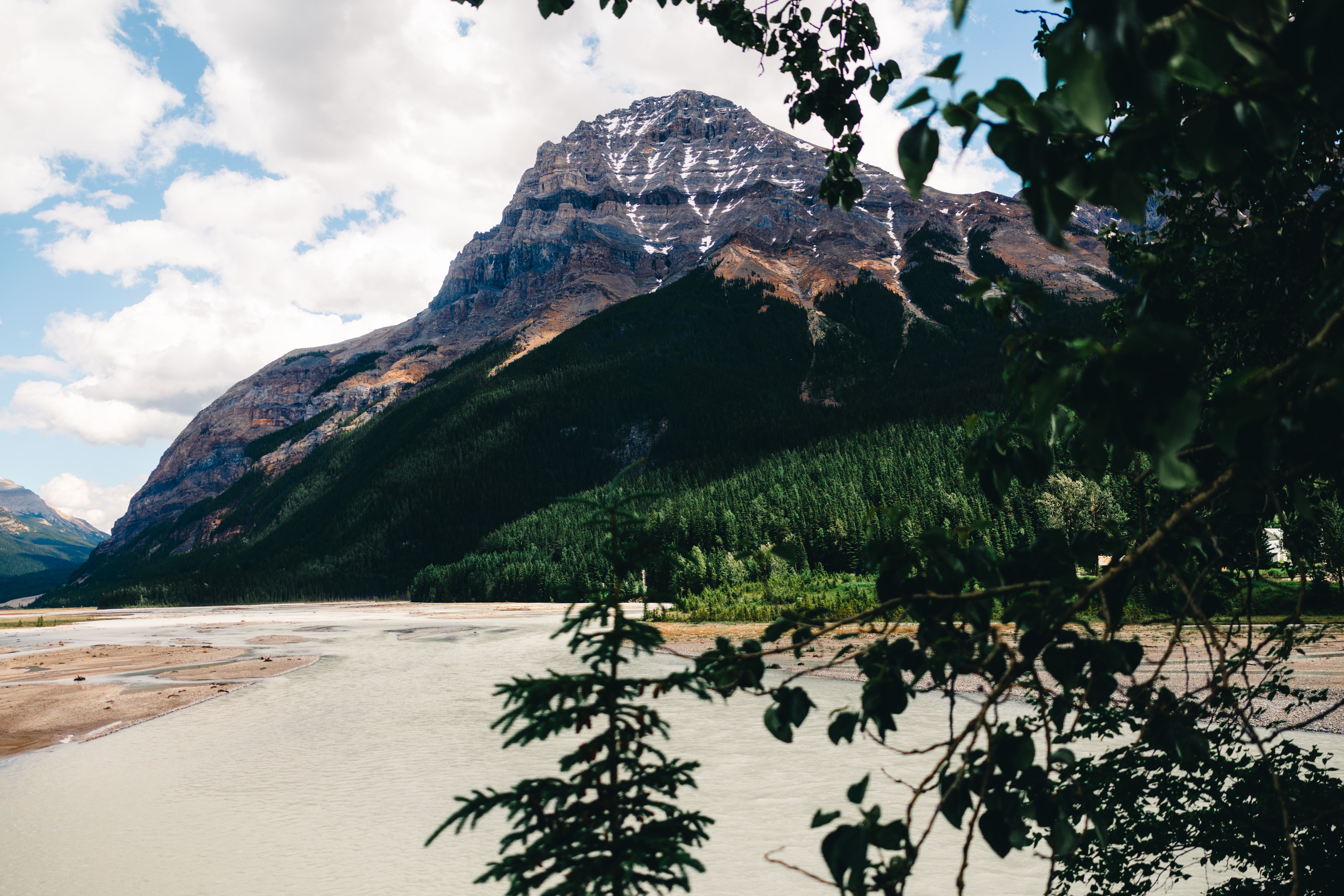 A view of a mountainous landscape with dense vegetation and water sources typical of important catchment areas.