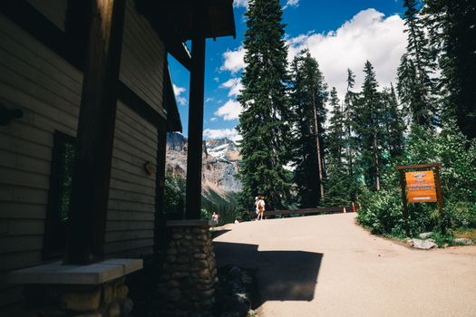 Scenic view of a lodge surrounded by lush forest in Yoho National Park, Canada.