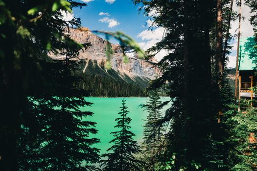 Picturesque view of Emerald Lake through forest trees in Field, British Columbia.