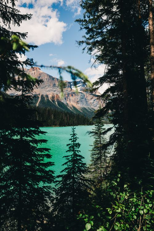 Free Stunning view of Emerald Lake nestled in the Canadian Rockies, surrounded by lush forests. Stock Photo