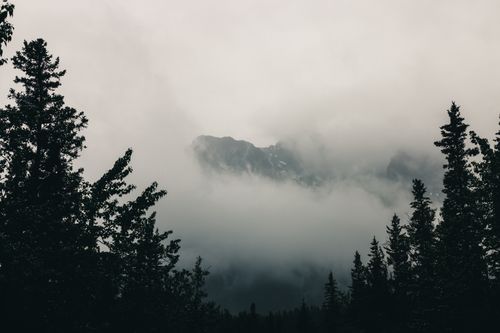 Free Eerie fog envelopes dense forest and mountain peaks in Canmore, Alberta, Canada. Stock Photo
