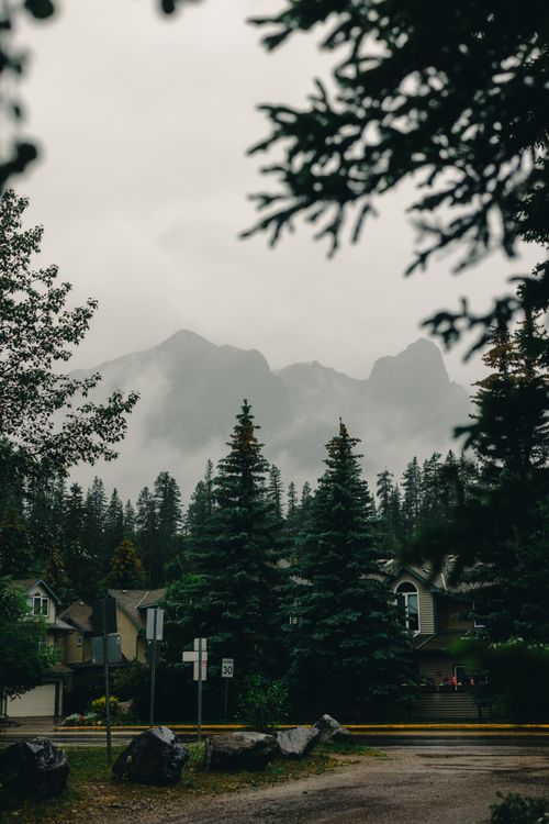 Free Foggy view of mountains and trees from a neighborhood in Canmore, Alberta. Stock Photo
