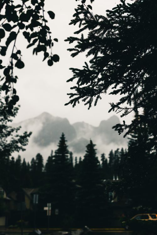 Free stock photo of adventure, camping, canada Stock Photo