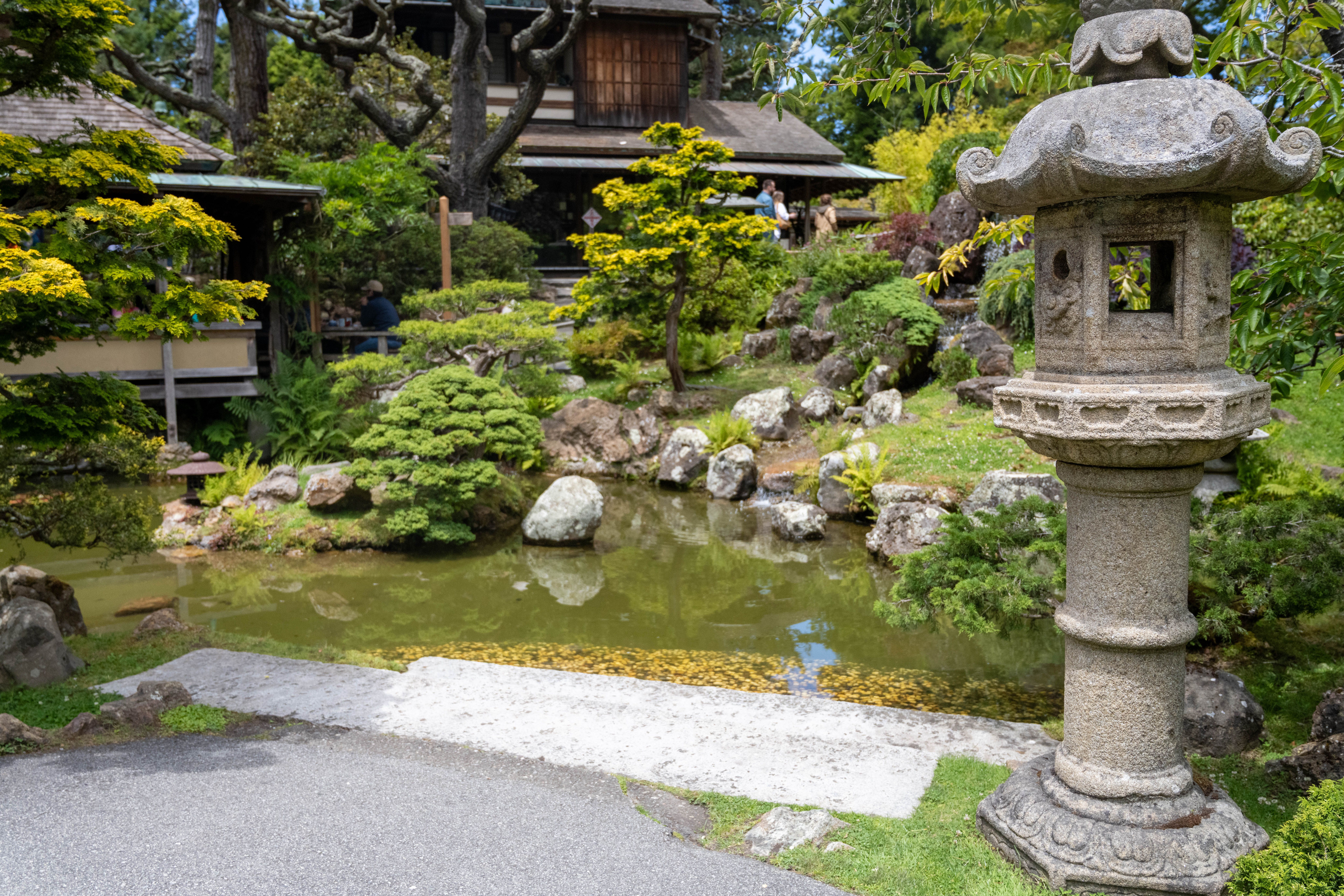 Serene Japanese garden scene featuring a traditional stone lantern and pond.