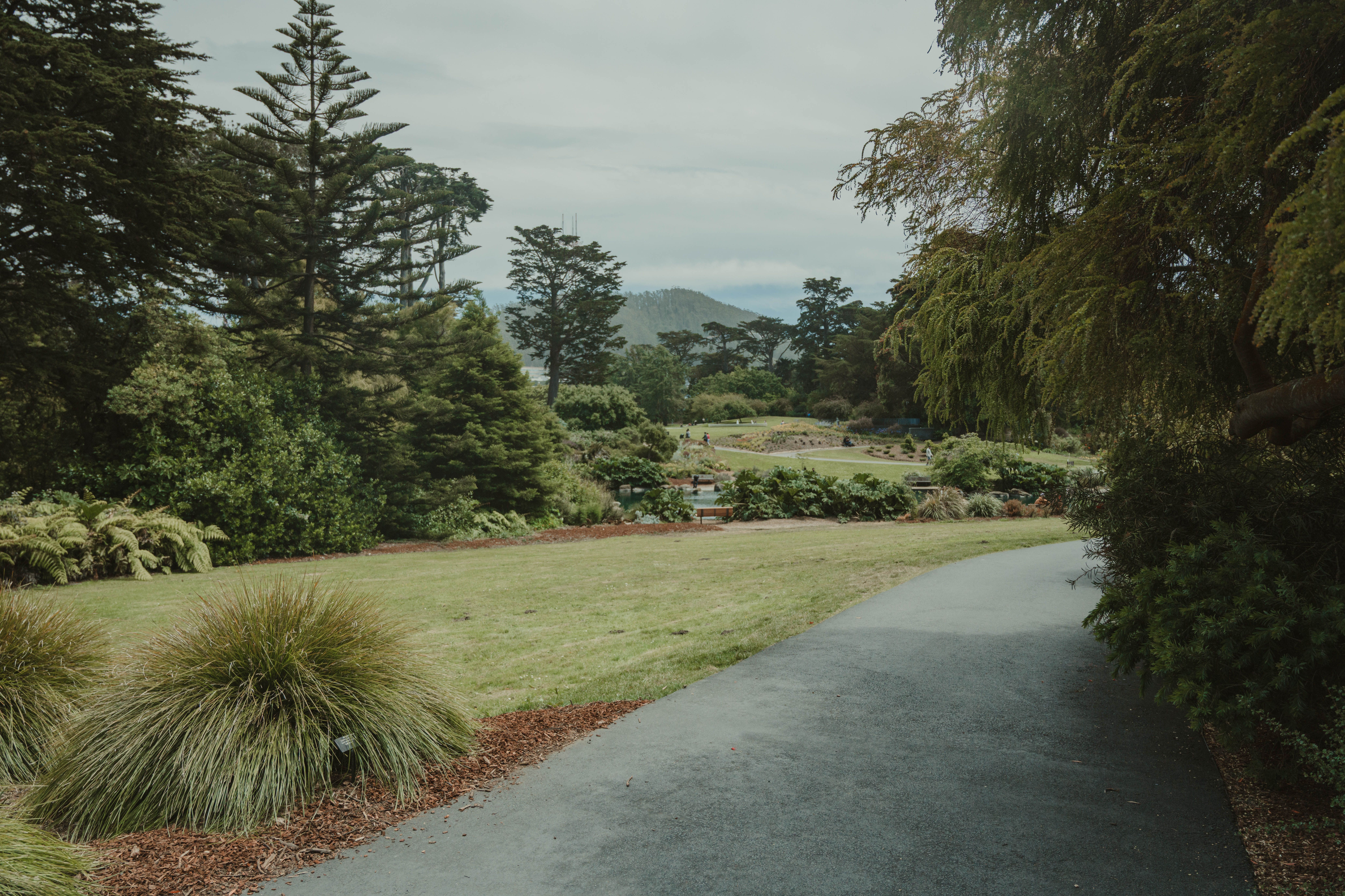 Explore factors influencing residents' green lifestyle: evidence from the Chinese General Social Survey data — Photo by Quang