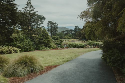 Free A tranquil park with a paved pathway through lush greenery and distant hills, under a cloudy sky. Stock Photo