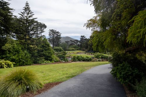 Free Tranquil pathway through a vibrant botanical garden with lush greenery and distant hills. Stock Photo