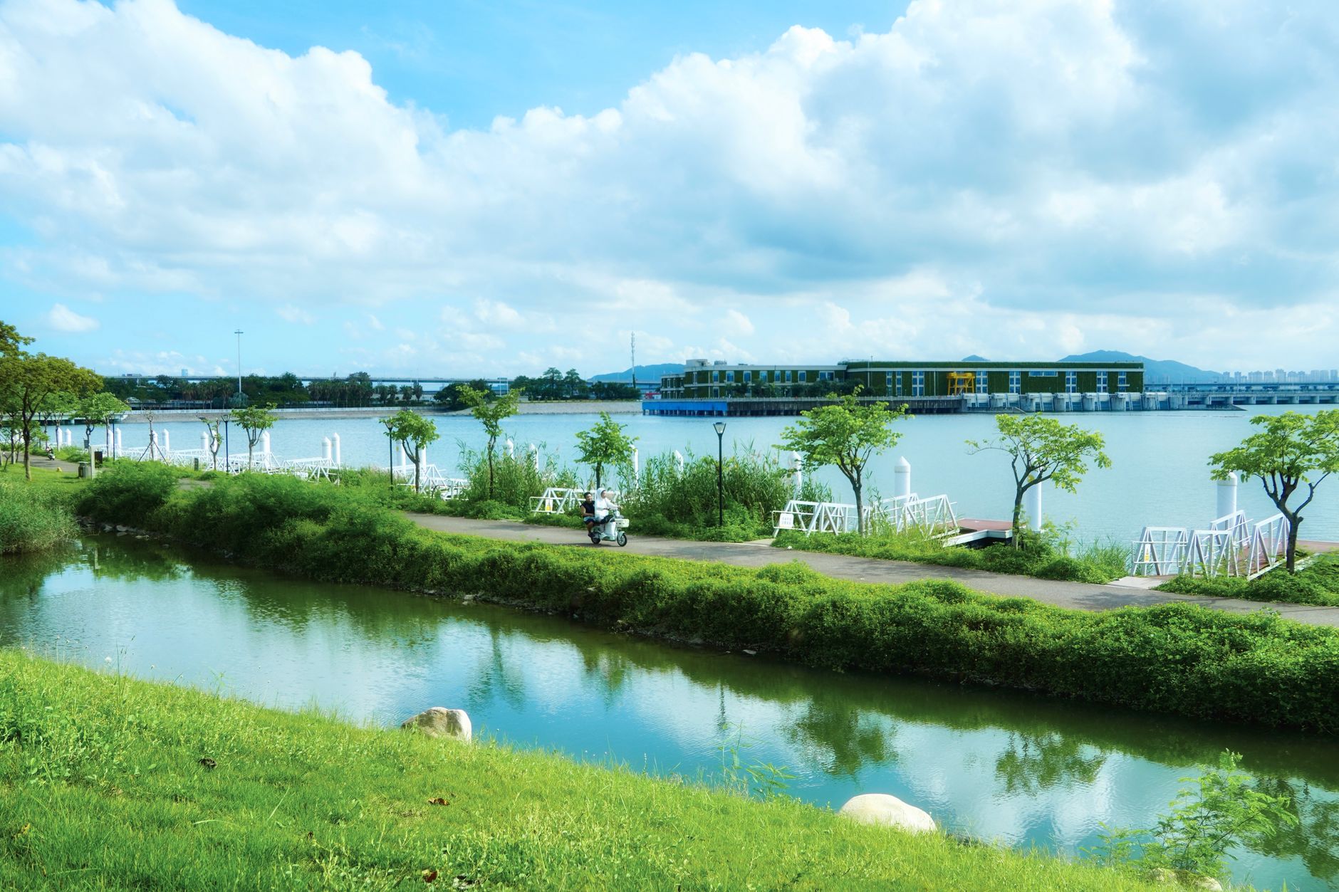Tranquil park setting with pathway, lush greenery, and serene lake view.