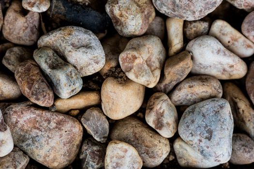 Detailed view of various pebbles and rocks, showcasing natural earthy textures.