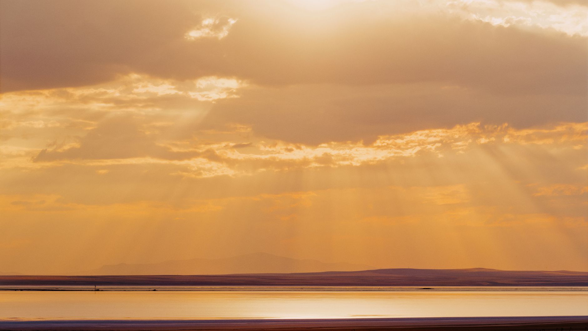 Az új ember