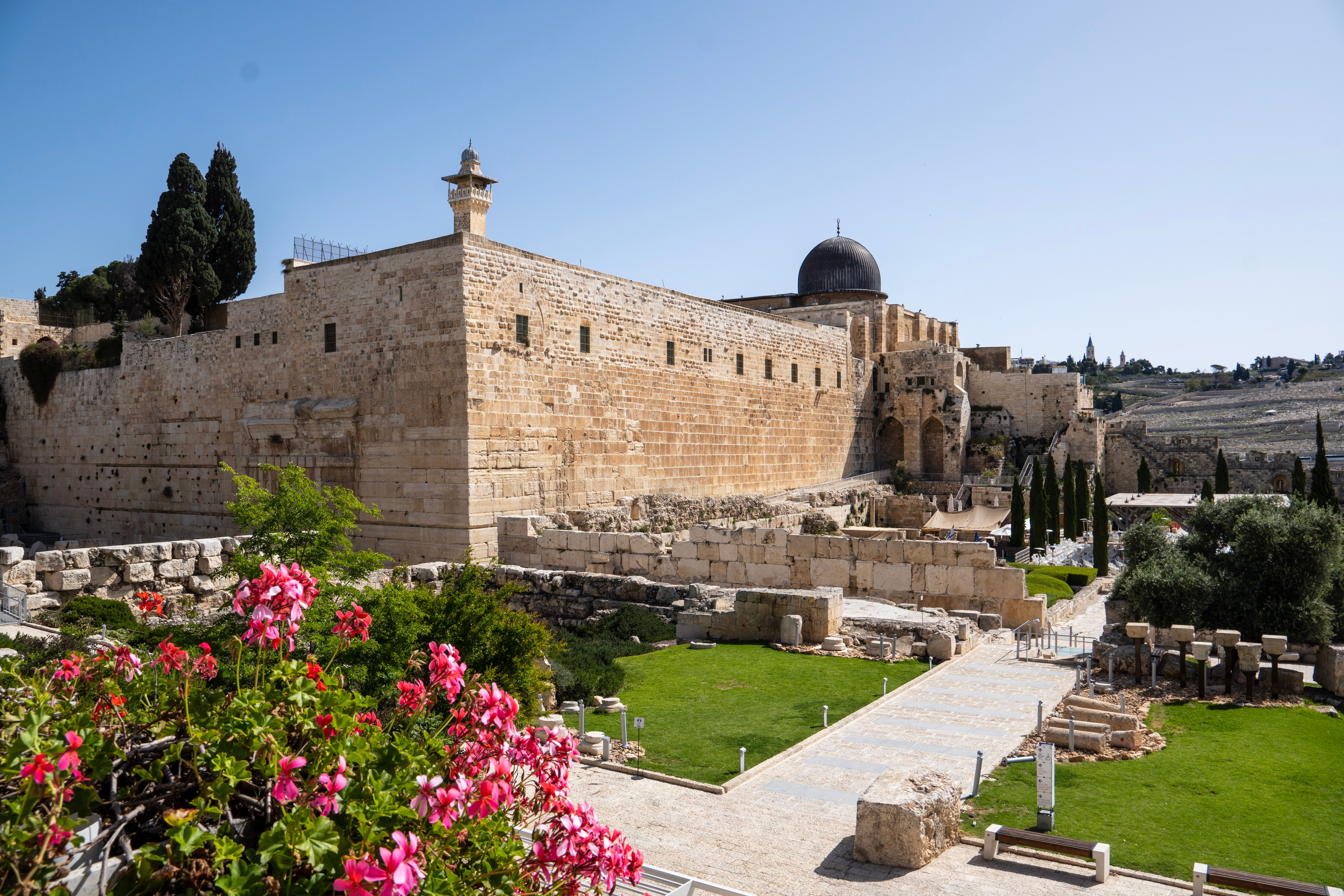 Scenic view of historical wall and lush greenery in Jerusalem's Old City.