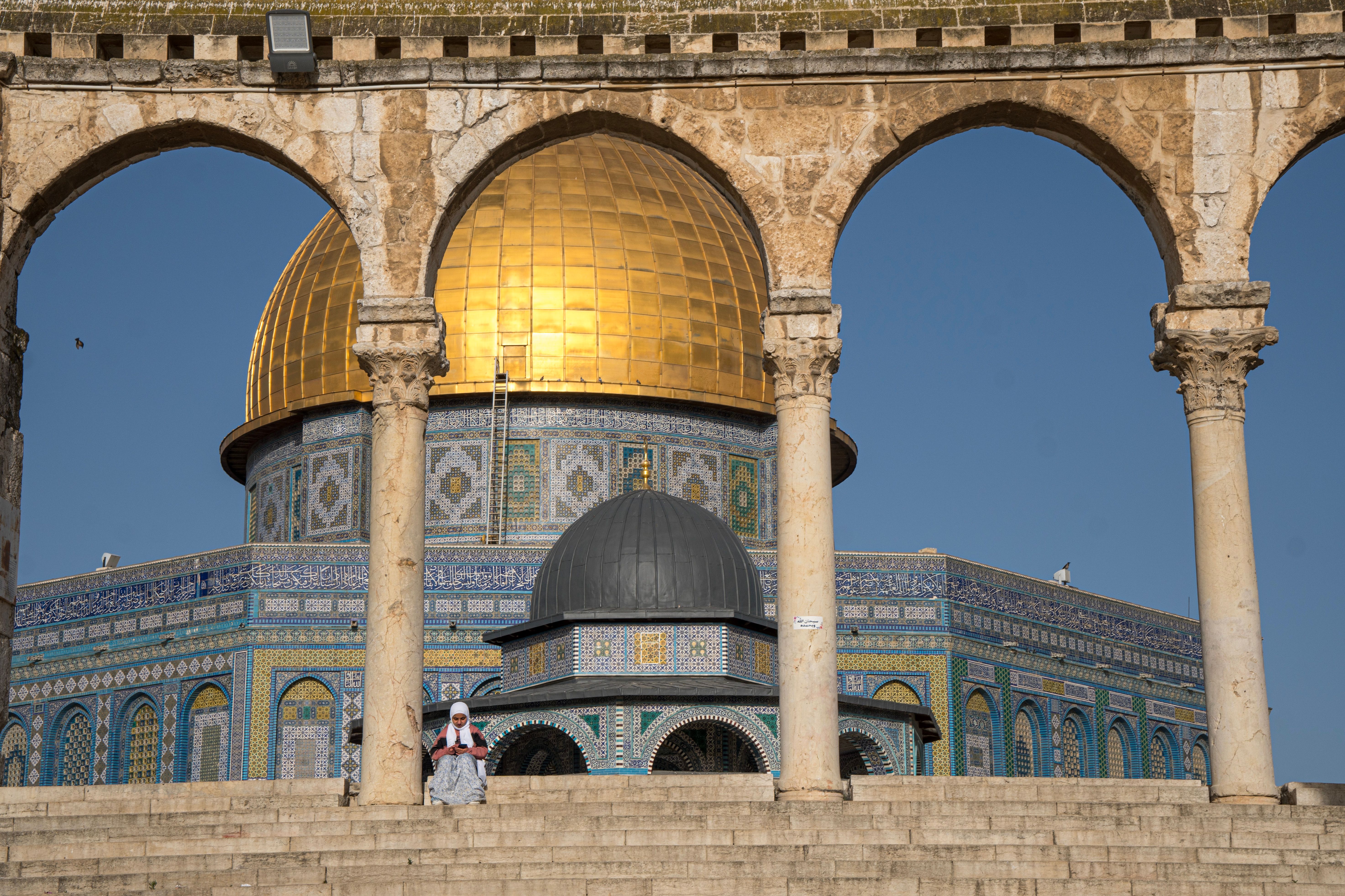 israel professional at work