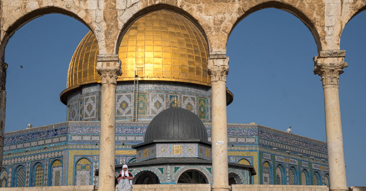 israel professional at work