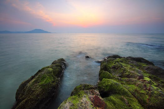 Breathtaking dawn view of the ocean with mossy rocks in the foreground and serene mountain silhouette in the backdrop.