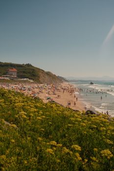 A vibrant summer beach scene with people, yellow flowers, and ocean waves.